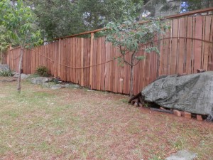 Kieran's fence